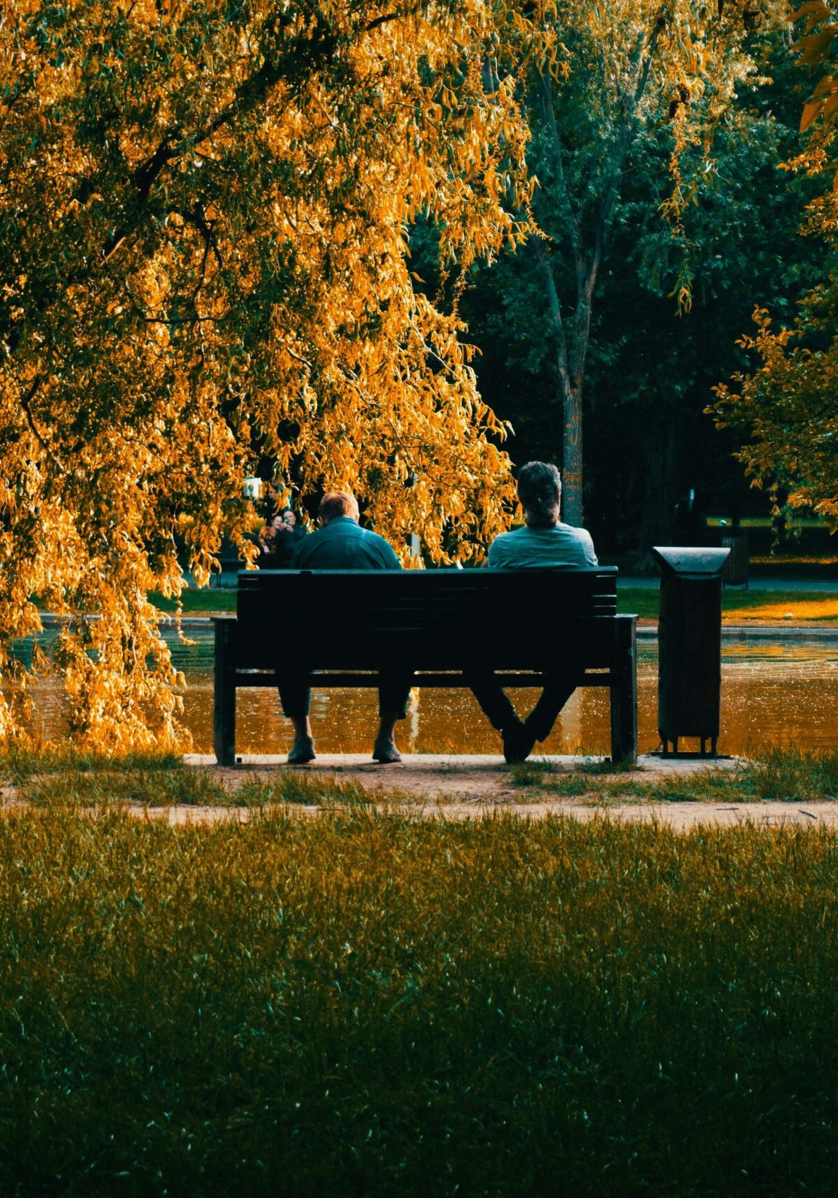 dan-v-wheECAe3rT8-unsplash
